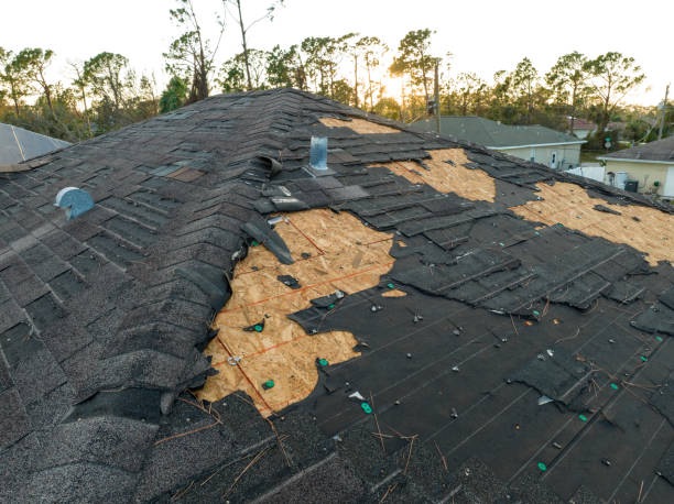 Best Roof Insulation Installation  in Oak Grove, KY